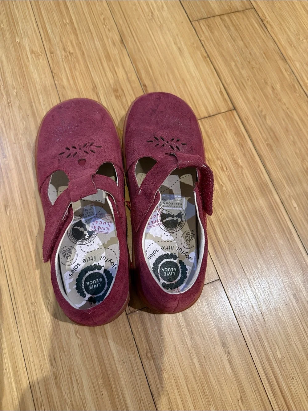 Livie & Luca Burgundy Suede T-Strap Mary Janes